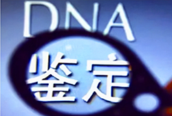 温州司法亲子鉴定的流程，司法亲子鉴定采集什么样本