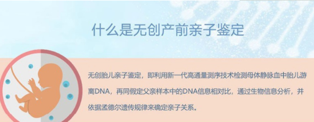 刚怀孕温州需要怎么办理孕期亲子鉴定,温州做怀孕亲子鉴定准确吗