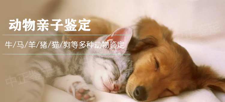 温州动物鉴定