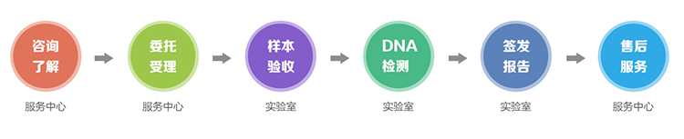 温州隐私亲子鉴定流程