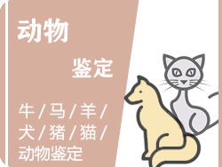 温州动物鉴定